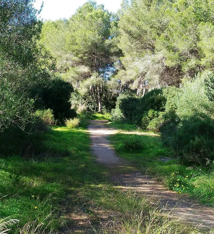 Apartamentos Los Pinos Cala Murada  Cala Murada (Mallorca)